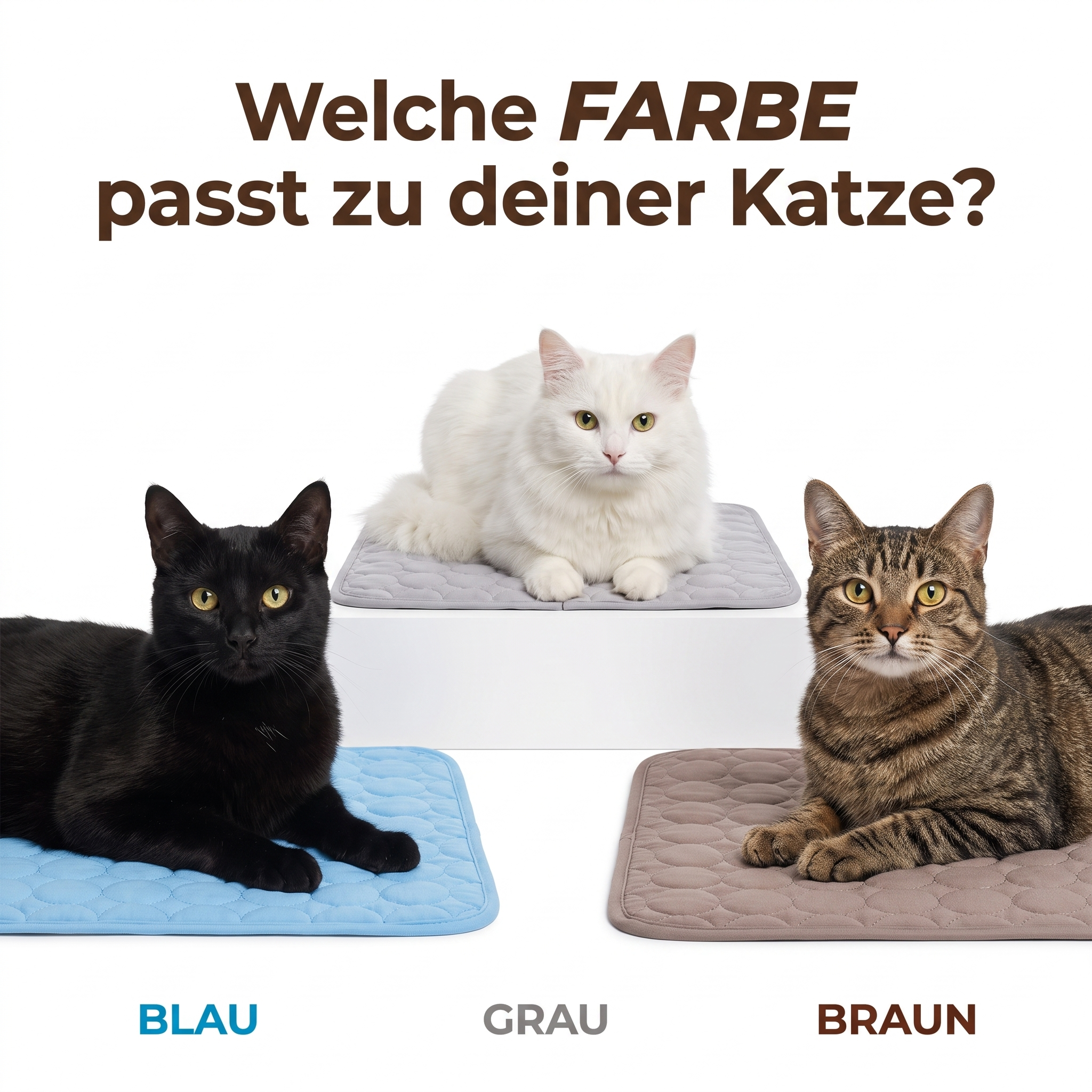 RahDawg™ KÜHLMATTE