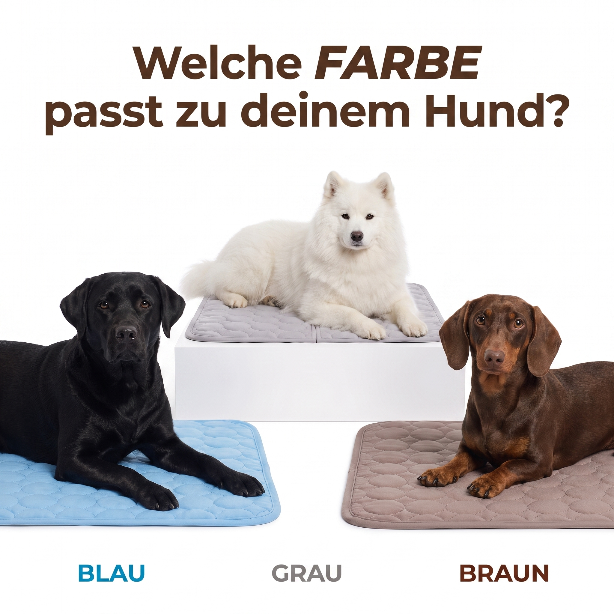 RahDawg™ KÜHLMATTE