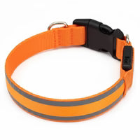 RahDawg™ Leucht - Halsband