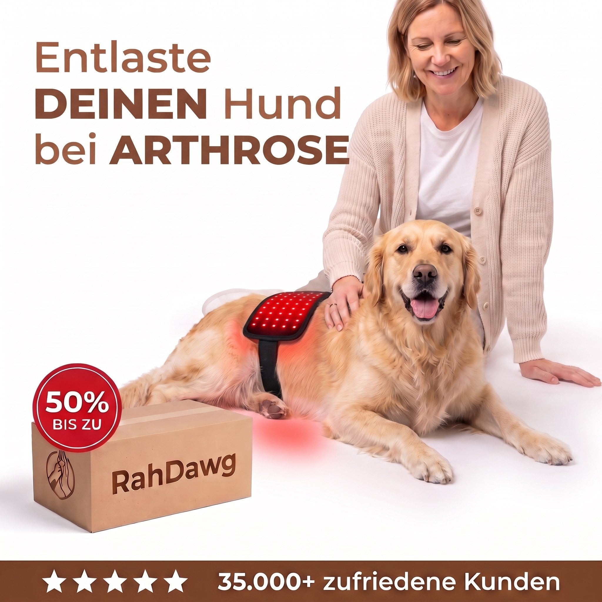 Hund mit RahDawg Rotlicht-Therapiematte